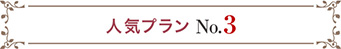 人気プランNo.3